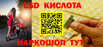 шишки Кандалакша