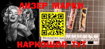 шишки Кандалакша