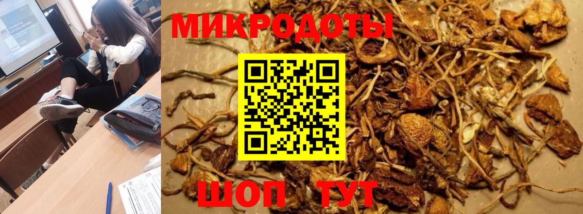 Псилоцибиновые грибы Psilocybine cubensis Лабинск